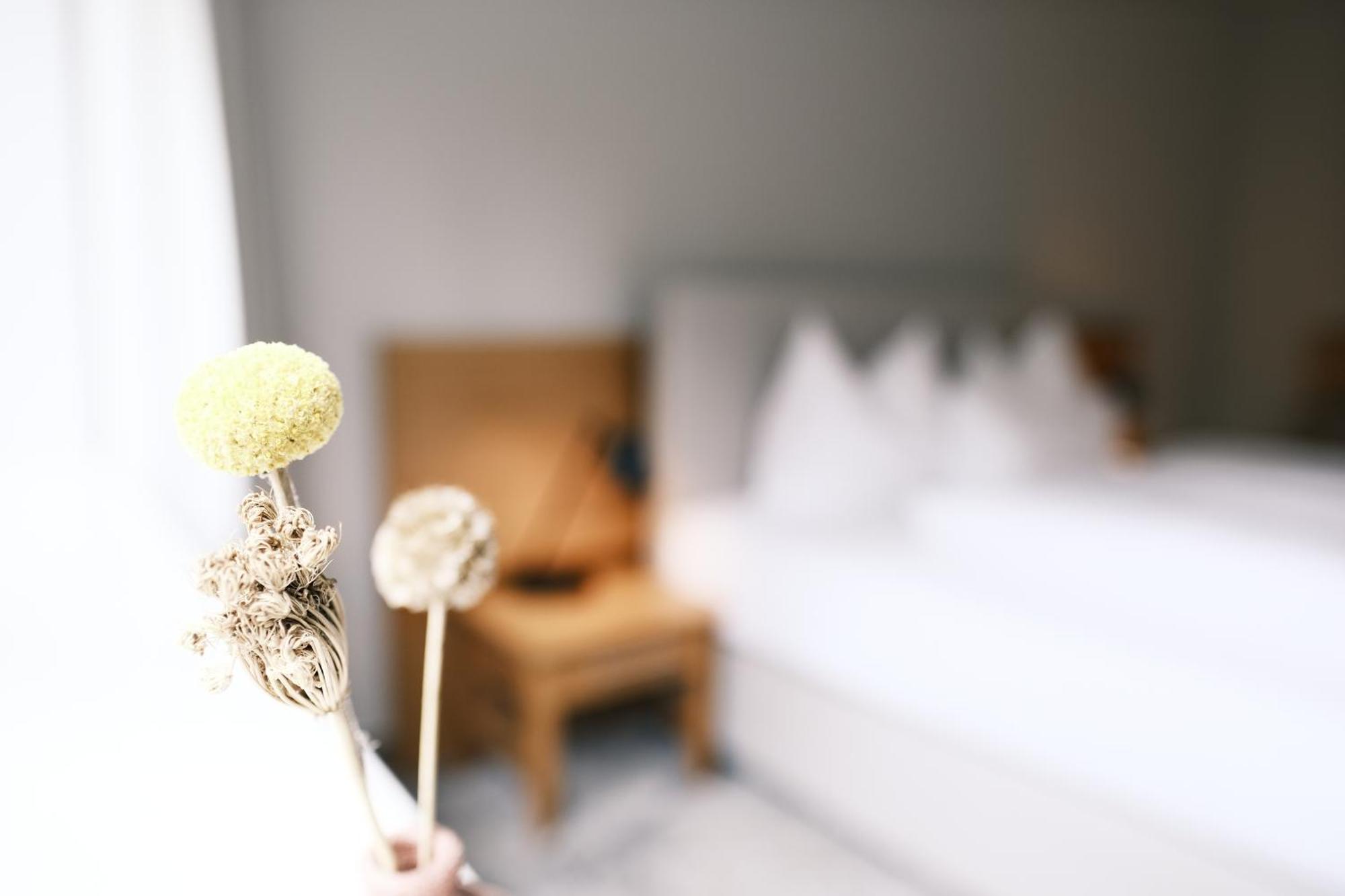 Hotel Sturm Bio- & Wellnesshotel In Der Rhoen Mellrichstadt Rom bilde